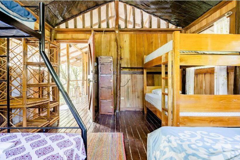 פנסיון Luminosa Uvita Hostel