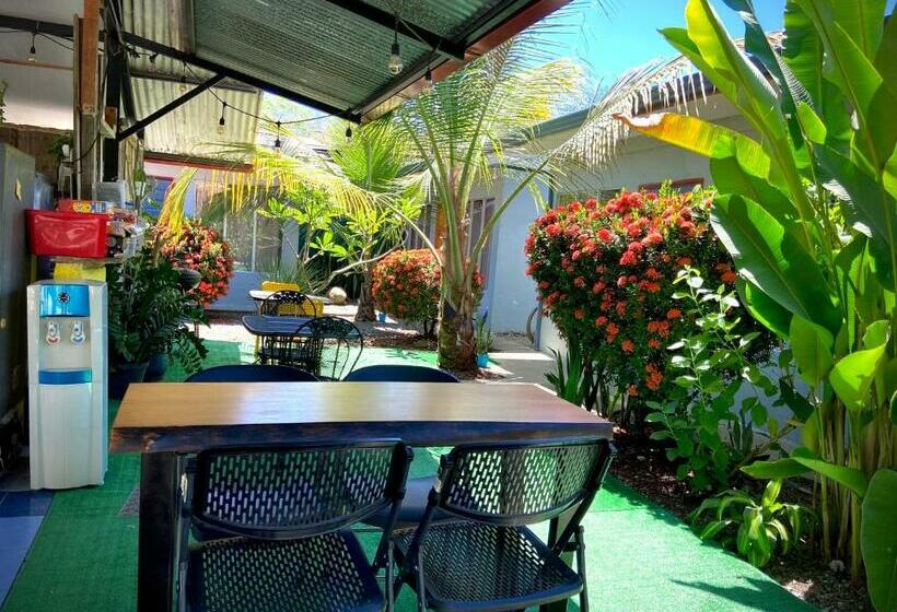 Rooms & Pool Macaws