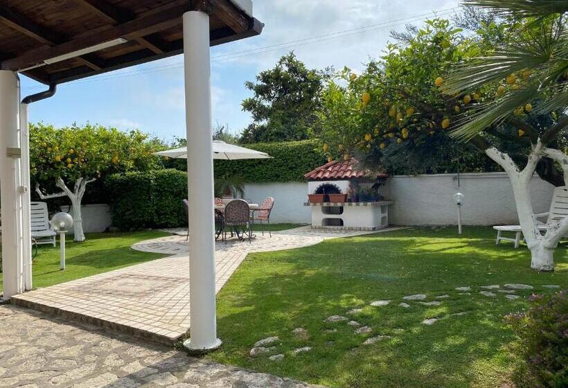 Villa Cecilia Bed And Breakfast