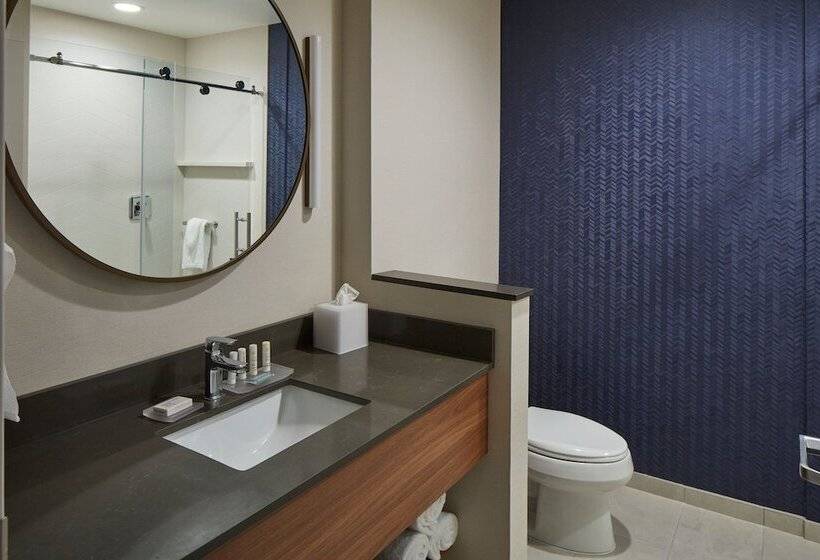 ホテル Fairfield Inn & Suites Seneca Clemson Univ Area