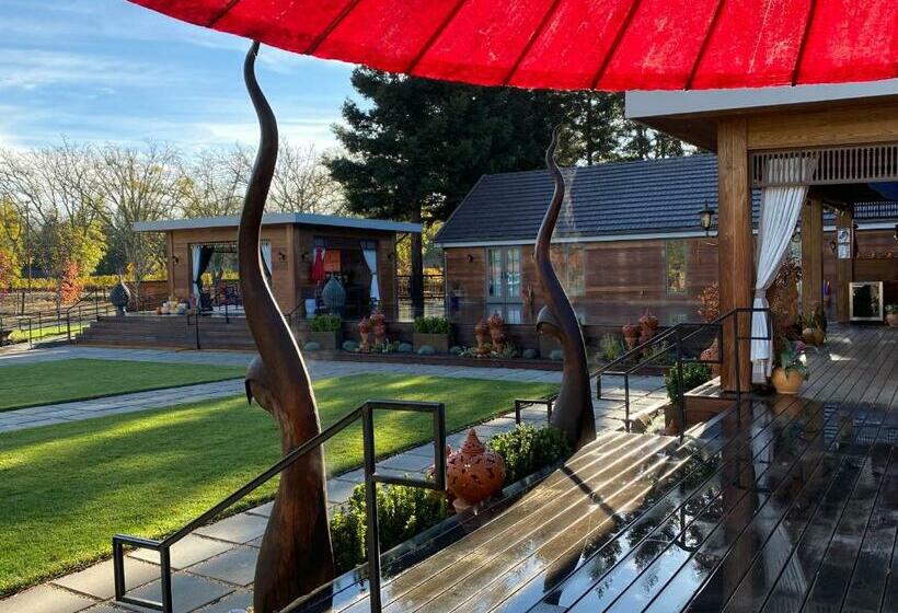 Bed and Breakfast Bann At Oak Knoll Napa