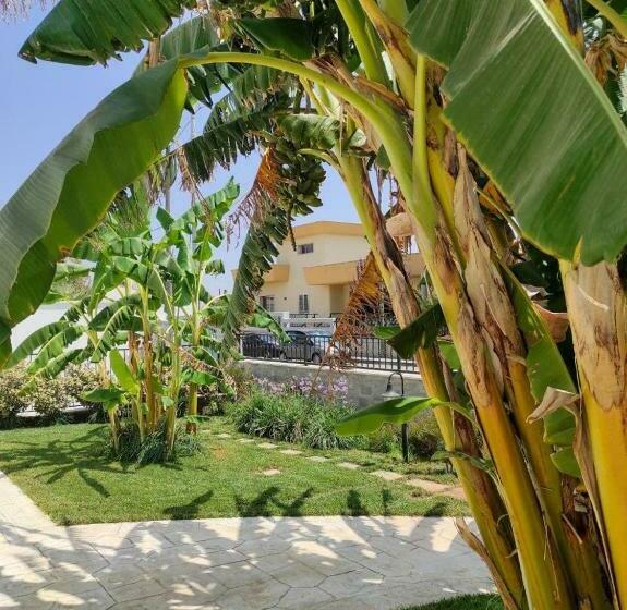 住宿加早餐  Il Negramaro