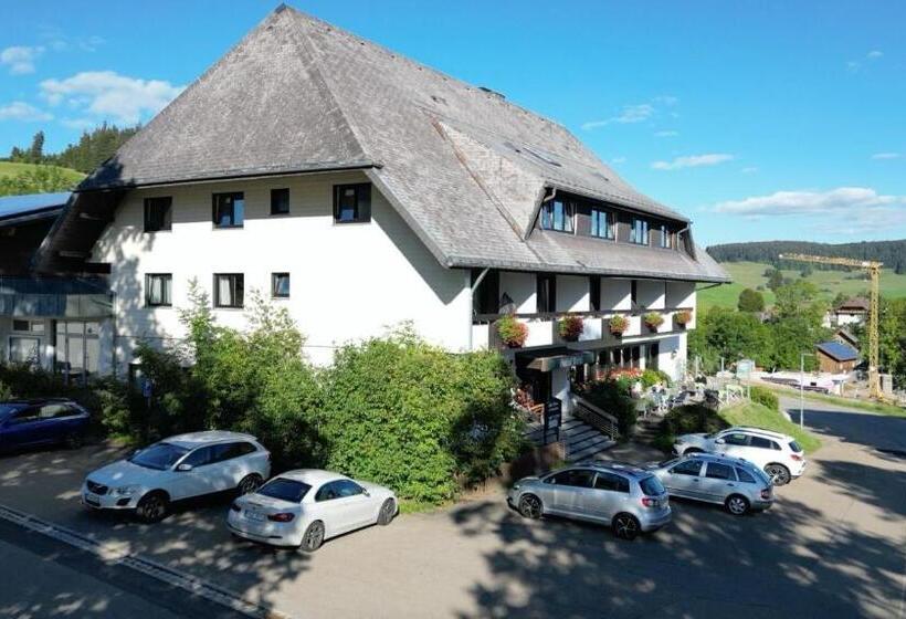 Отель Kreuz Höhengasthof