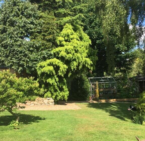 פנסיון Cookshayes Country Guest House