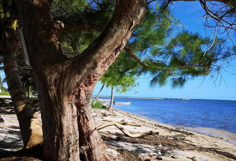 住宿加早餐  Xcalak Caribe Lodge