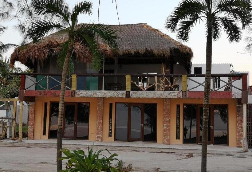 住宿加早餐  Xcalak Caribe Lodge