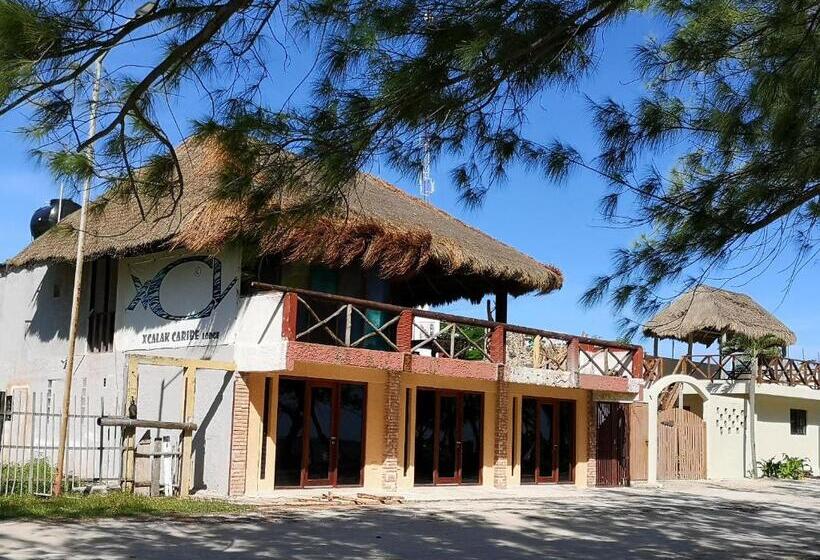 住宿加早餐  Xcalak Caribe Lodge