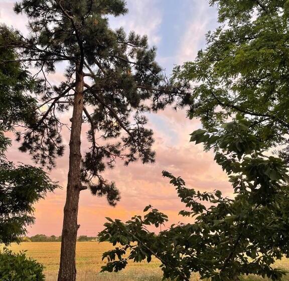 مبيت وإفطار Ferme De Maillezais