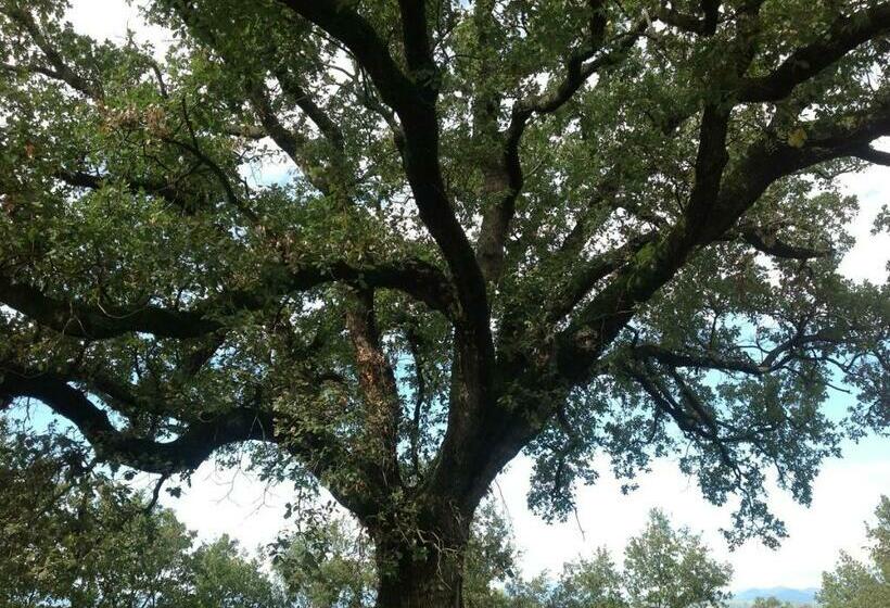 مبيت وإفطار La Quercia