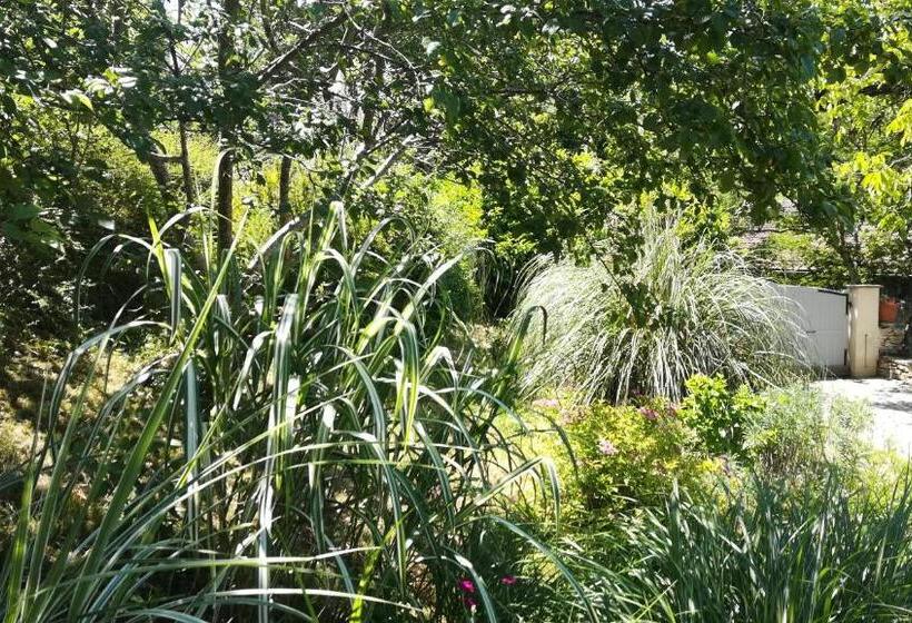 住宿加早餐  La Source