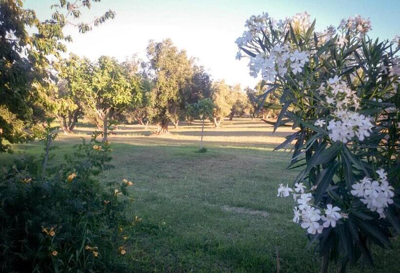 Отель Agriturismo San Matteo