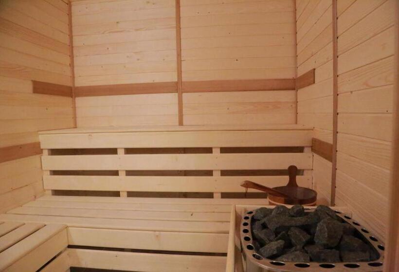 هتل Muresul Health Spa