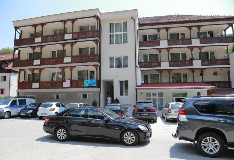 هتل Muresul Health Spa