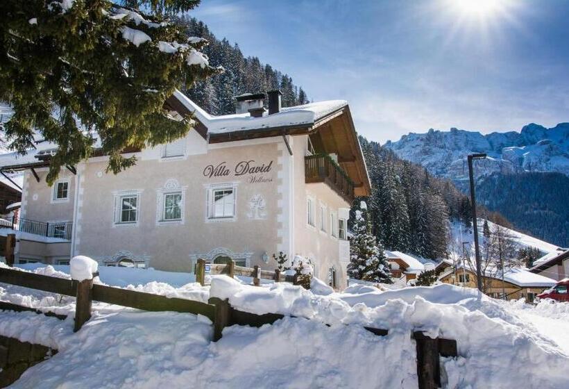 هتل Villa David Dolomites