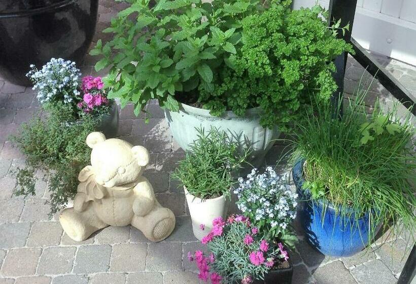 پانسیون Elegance Hamont