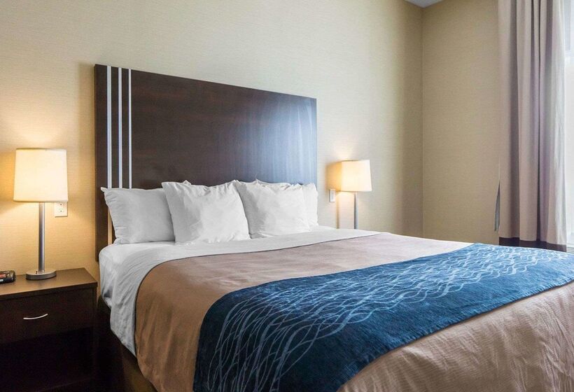 בית מלון כפרי Comfort Inn & Suites