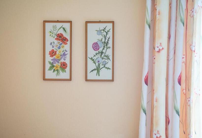 酒店 Gasthof Scheer Feriendomizil