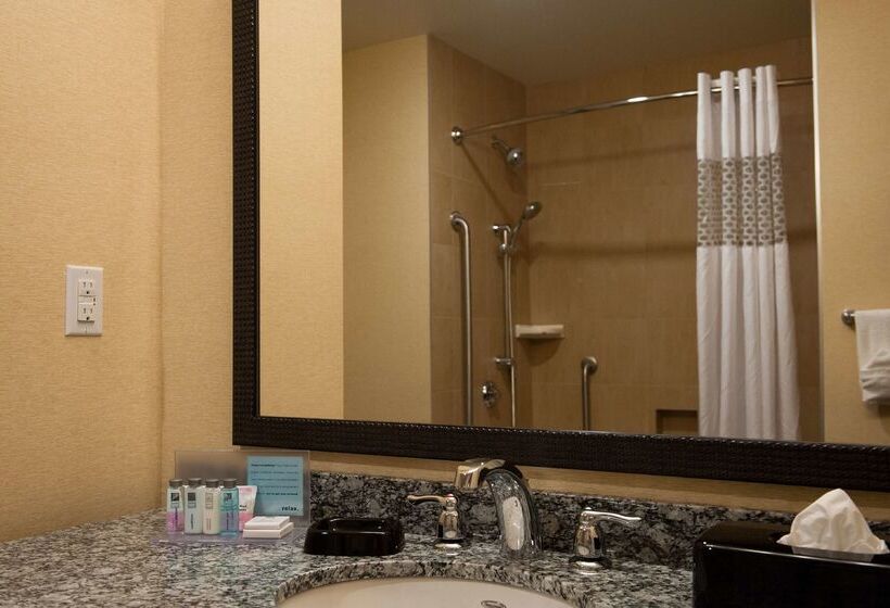 בית מלון כפרי Hampton Inn By Hilton Chilliwack