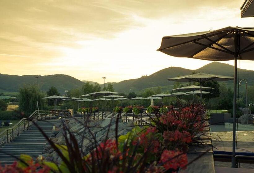 Курорт Barriere Ribeauville