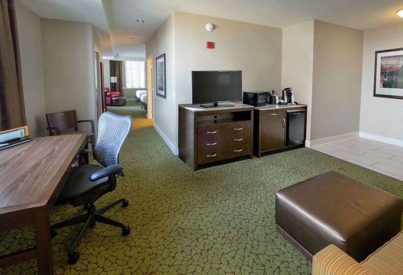 فندق Hilton Garden Inn Buffalo Downtown