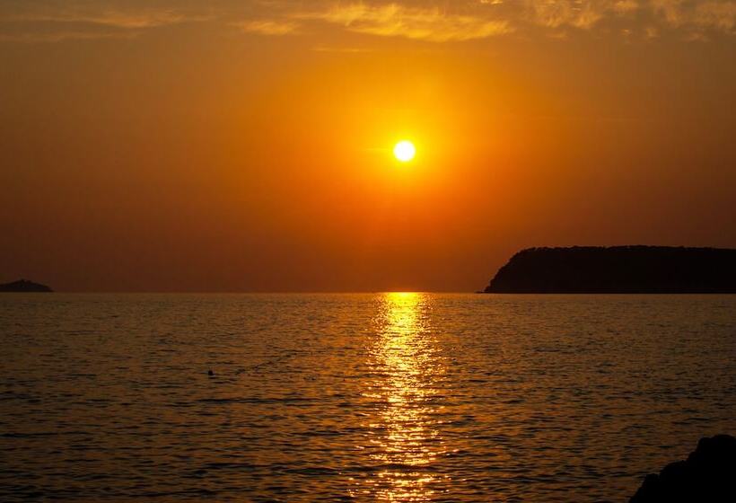 בית מלון כפרי Royal Palm