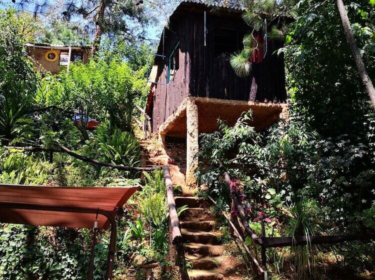 هتل Cabañas Campamento Tlatempa   Hostel