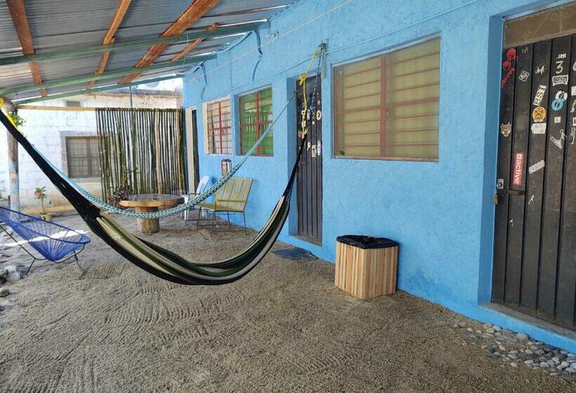 بنسيون Ola Perfecta Hostel