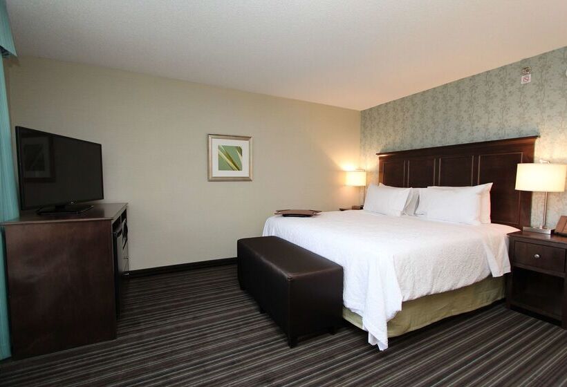 فندق Hampton Inn & Suites By Hilton St. John S Airport