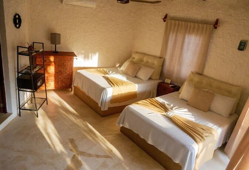 Arte Sano Hotel Only Adults   Near Beach