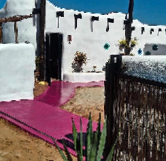 بنسيون The O Asis