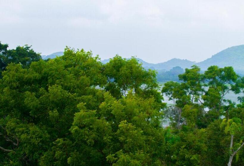 ペンション Three Elephant Holiday Inn