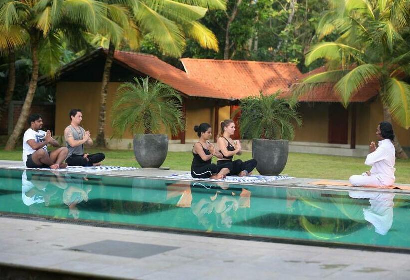 בית מלון כפרי Velmarie 10 Days Beginners Ayurveda Course