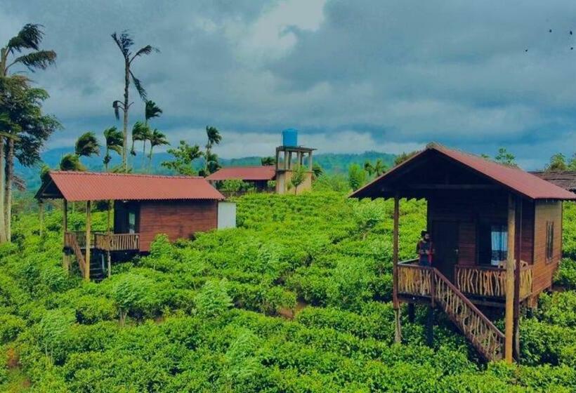 ホテル Misty Mountain  Sinharaja