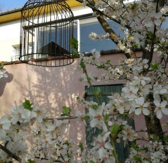 بنسيون Un Verger Dans La Ville