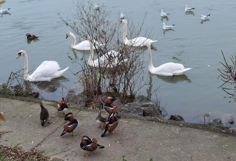 住宿加早餐  Les Pingouins De La Marne