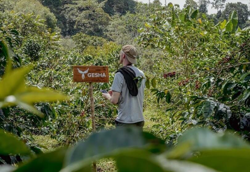 هتل El Fenix Coffee