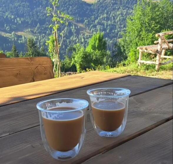 Pensiunea Agroturistica Acvila Apusenilor