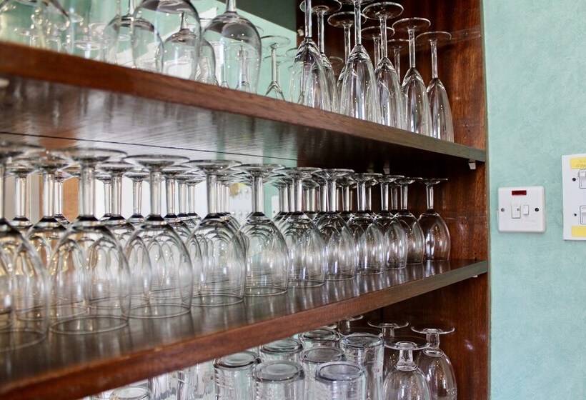 ベッドアンドブレックファースト Bryn Noddfa