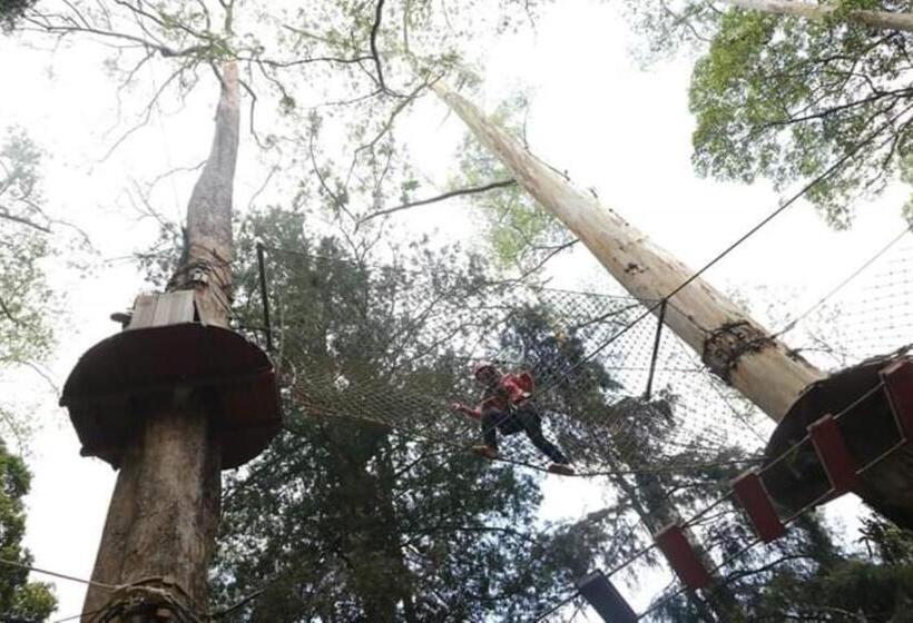 リゾートホテル Lawu Forest Camp
