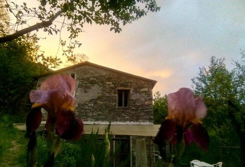 B&b Stefano