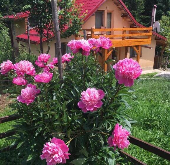 بنسيون Forest Vibes Spa