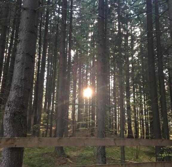 بنسيون Forest Vibes Spa