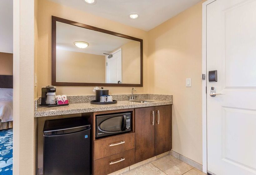 هتل Hampton Inn & Suites Madison / Downtown