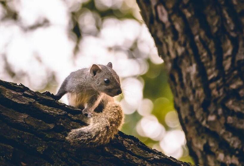 酒店 Millennium Resort Hangzhou