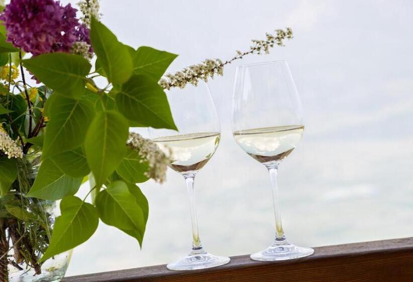 Отель Engadiner Apartments & Wines