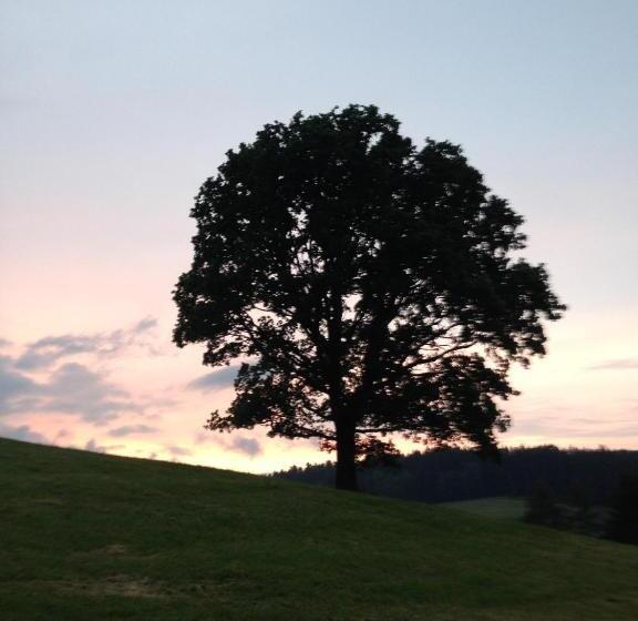 ホテル Gasthof Zur Post