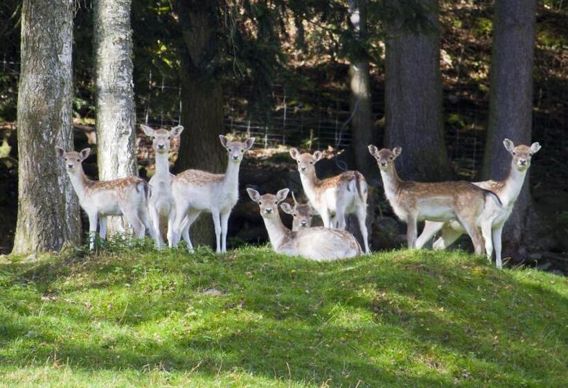 ホテル Gasthof Zur Post