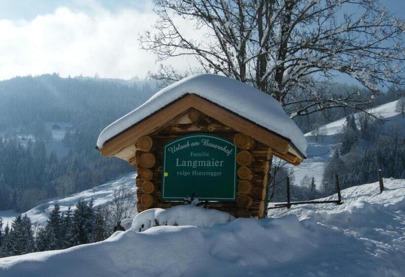ホテル Hintereggerhof