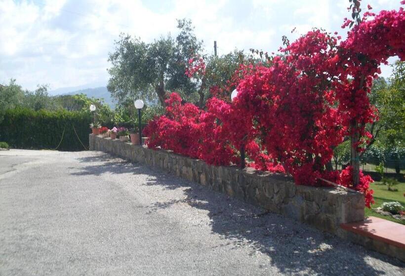 پانسیون La Selva