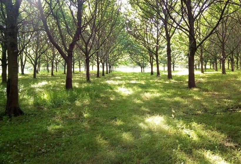 צימר Quinta Do Casal